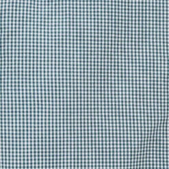 Chemise Slim Carreau Vichy Coton Viscose -Men's Clothing Soldes Boutique 1004080 16000 V7